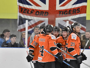 Supporting image for story: Telford Tigers too hot for Dragons