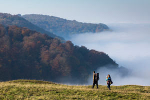 Extend your stay and use the time to explore the English countryside...