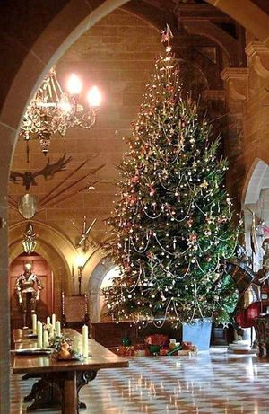 The 20ft tree stands proud in the Castle's Great Hall