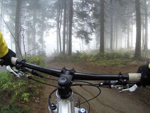 Supporting image for story: New mountain biking facilities for Cannock Chase after £900,000 secured