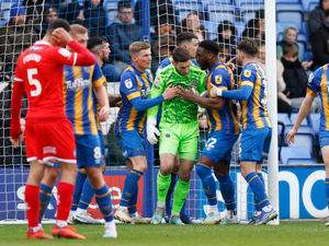 Supporting image for story: Shrewsbury can achieve 'something special' says goalkeeper Marko Marosi