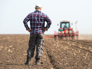 Supporting image for story: Goverment's action too late