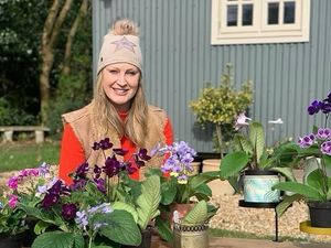 Supporting image for story: VIP event for flower show organisers