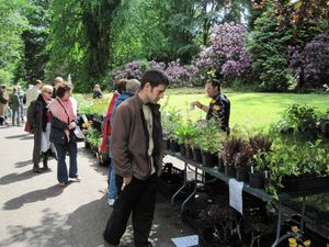 Hodnet Hall Gardens Plant Hunters' Fair