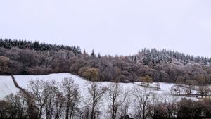 Mortimers Forest near Ludlow. Picture: Kate Howard