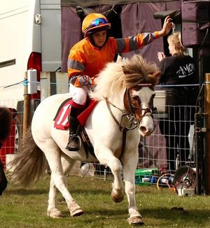 Pony racing star Henry Graham, 13, is set to compete in prestigious competitions in Prague and London