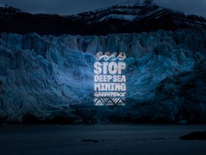 Supporting image for story: Arctic seabed mining will cause ‘irreversible harm’ to wildlife – Greenpeace