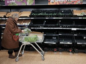 Supporting image for story: NFU warns current fruit and vegetable shortages could be ‘tip of the iceberg’