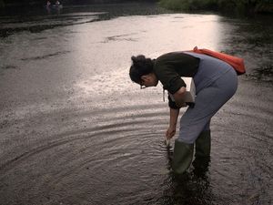 Supporting image for story: River group given £10,000 to probe pollution as chicken farms 'turn waterways into pea soup'