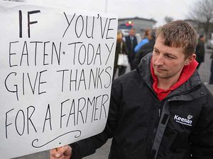Supporting image for story: IN PICTURES: Shropshire farmers join animals and activists at London protest march