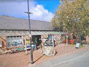 Supporting image for story: Work planned on a tree near Kington musuem supported by town council