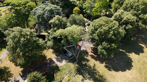 The tree has been removed from The Quarry. Picture: Shrewsbury Town Council