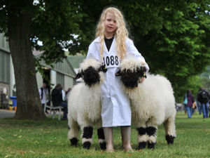 Supporting image for story: Top five unmissable highlights at this year’s Royal Three Counties Show in June