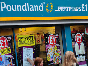 Supporting image for story: Poundland is fined £134,000 over mice at stores