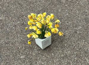 The silver pot of ashes thrown on a walkway