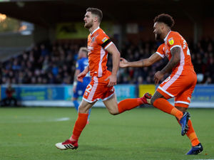 Supporting image for story: Wimbledon 1 Shrewsbury 2 - Report and pictures