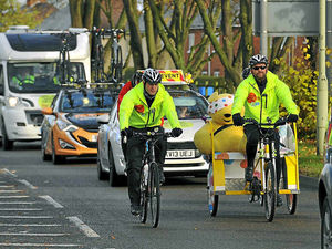 Supporting image for story: Genetically modified cynicism