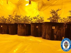 Supporting image for story: Police uncover cannabis factory in Smethwick responding to reported burglary