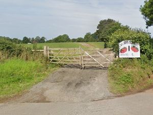 Supporting image for story: 'Road works mean fruit picking customers can't get to us' 