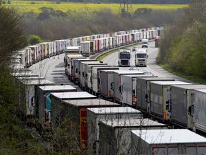 Supporting image for story: Long wait times at Dover crossing costing transport companies ‘£800 per lorry’