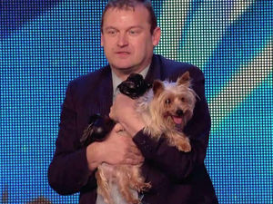 Supporting image for story: WATCH: Max the dog becomes internet sensation after Britain's Got Talent Ant attack