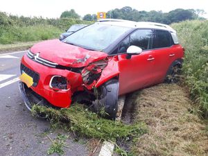 Supporting image for story: Car smashes into hedge outside Shropshire hamlet