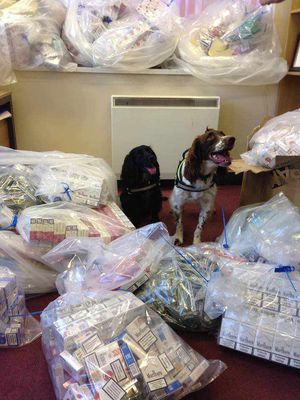Sniffer dogs Scamp and Phoebe helped Sandwell trading standards to seize more than £37,000 of illicit tobacco