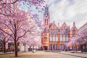 Cherry Blossom at the Ikon Gallery by Verity Milligan