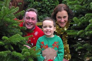 Supporting image for story: Christmas 2016: How to choose the perfect tree