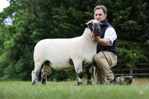 Sale topper at 2550gns from Sophie Manners and Joe Dilibero.