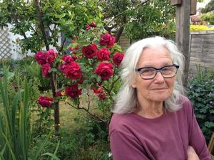 Supporting image for story