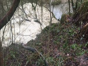 Supporting image for story: Farmer told to pay nearly £40,000 for polluting quarry lagoon with dairy slurry