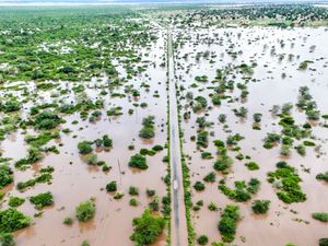 Supporting image for story: Manmade climate change worsened flooding disaster in southern Africa, study says