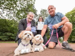 Supporting image for story: Dog walkers in Wolverhampton urged to join crime-busting paw patrol