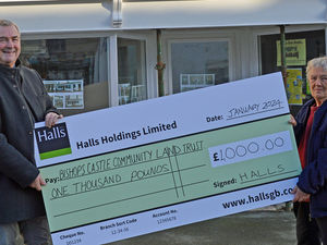 Supporting image for story: A £1,000 boost for Bishops Castle trust’s building appeal