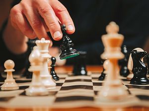 Supporting image for story: Peter Rhodes on chess, bridge and an exciting night with Rebel the police dog