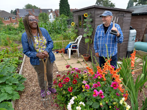 Supporting image for story: Sanctuary seekers living the good life at Wolverhampton allotments