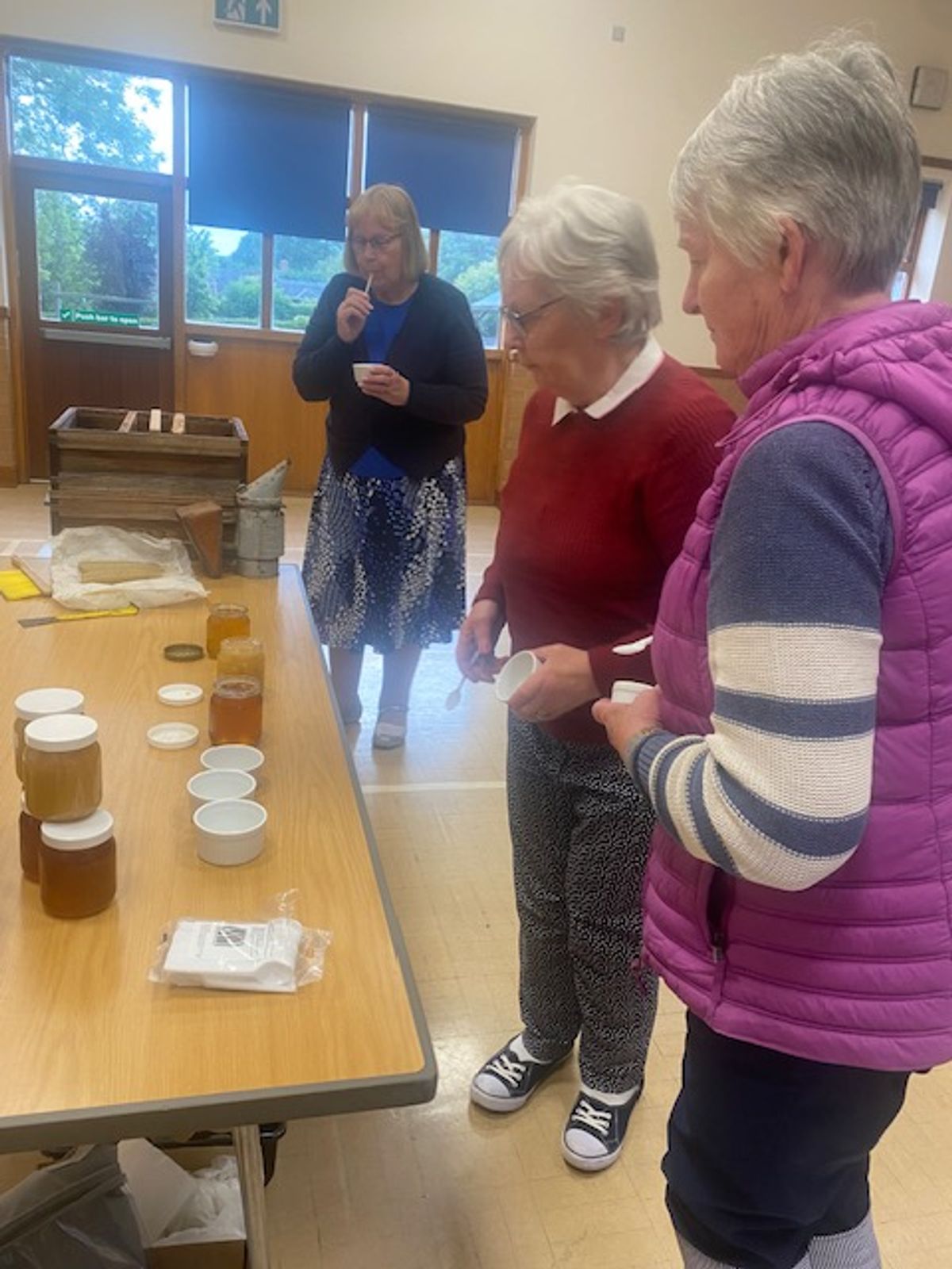 Dolau Womens Institue treated to fellow members bee keeping video