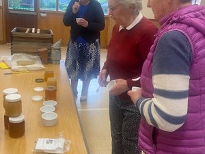 Supporting image for story: Dolau Women's Institue treated to fellow member's bee keeping video