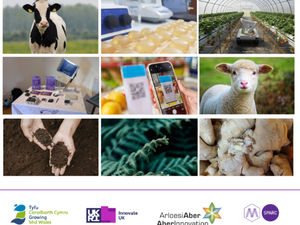 Supporting image for story: £2.95m Innovate UK funding awarded to nine Mid and North Wales agri-tech and food-tech projects