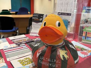Supporting image for story: Council supports totally quackers duck trail in Walsall