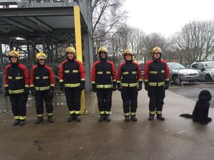 Supporting image for story: Dog joins in with firefighter training after road rescue
