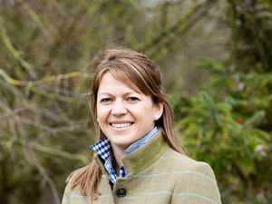 Supporting image for story: Let's talk mental health and the pressures on farmers