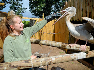 Supporting image for story: Great deals for Dudley and Halfpenny Green zoos and a free coffee! Money Saving Amy explains all