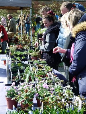  Sugnall Walled Garden Spring Plant Fair on Sunday 29th March