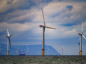 Supporting image for story: Poll suggests most Reform UK voters back investment in renewable energy