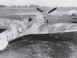 Supporting image for story: Haunting images of High Ercall's wartime airfield revealed