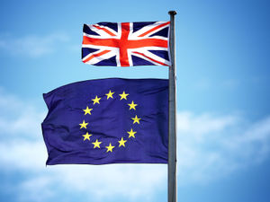 Supporting image for story: Hard Brexit cliff edge doesn’t exist