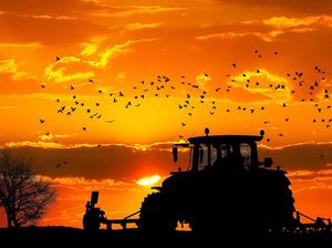 Supporting image for story: Rhodes on horses, the lure of cities and people who actually welcome a trip to Rwanda