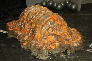 A Horta on show. Photos by: Graham Martin